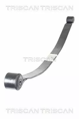 Frühlingspaket TRISCAN 8765 16049)