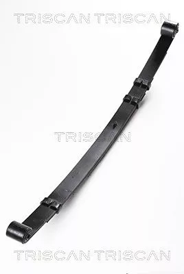 Frühlingspaket TRISCAN 8765 80006)