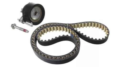 Timing Belt Kit SKF VKMA 04219)