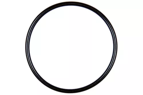 Siegel CONTINENTAL/VDO A2C59516938)