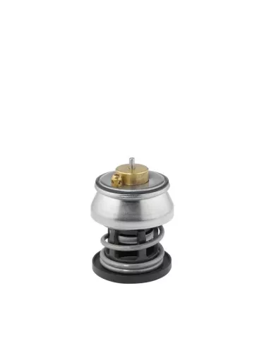 Thermostat, Kühlmittel BorgWarner (Wahler) 412253.88D)