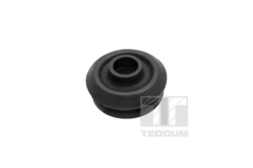 Federbeinlager TEDGUM 00448991)