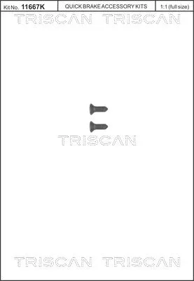 Schraubensatz, Bremsscheibe TRISCAN 8105 116008)