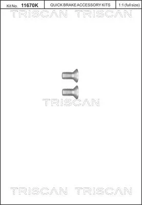 Schraubensatz, Bremsscheibe TRISCAN 8105 116011)