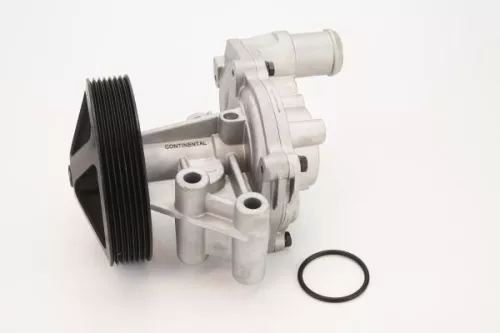 Wasserpumpe, Motorkühlung CONTINENTAL CTAM WPS3081)
