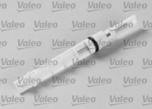 Einspritzdüse, Expansionsventil VALEO 508970)