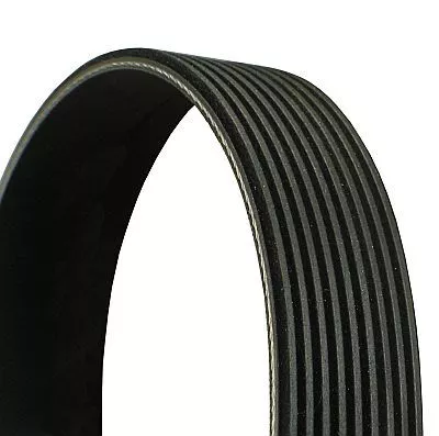 V-Rippen-Gürtel CONTINENTAL CTAM 9PK1825)
