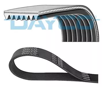 V-Rippen-Gürtel DAYCO 7PK1790)