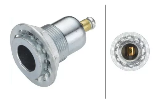 Buchse HELLA 8JB 001 946-031)