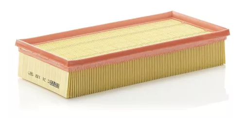 Luftfilter MANN-FILTER C 31 122)