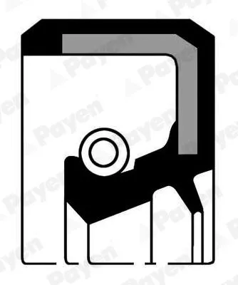 Shaft Seal, crankshaft PAYEN NJ252)