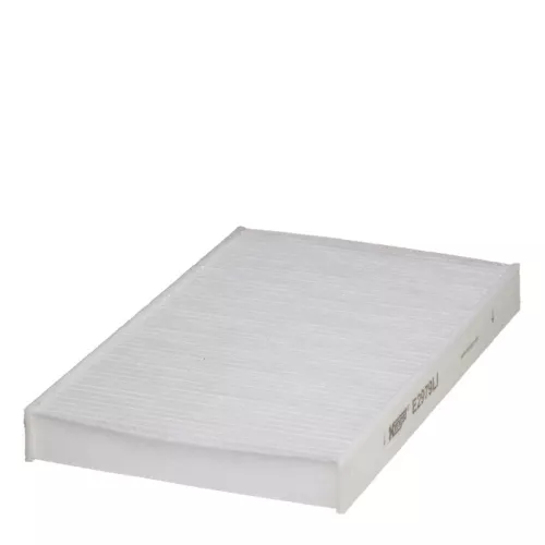 Kabinenluftfilter HENGST FILTER E2979LI)