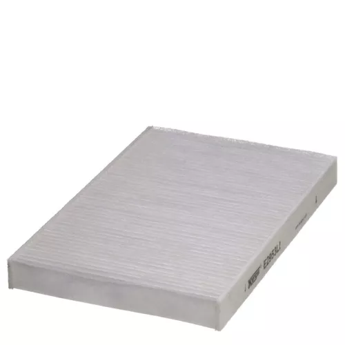 Kabinenluftfilter HENGST FILTER E2953LI)