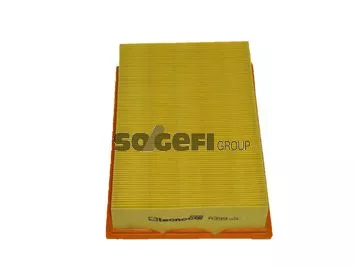 Luftfilter PURFLUX A221)