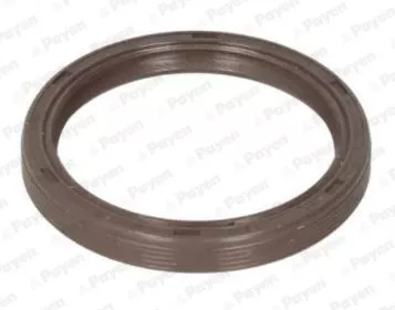 Shaft Seal, camshaft PAYEN NA5310)