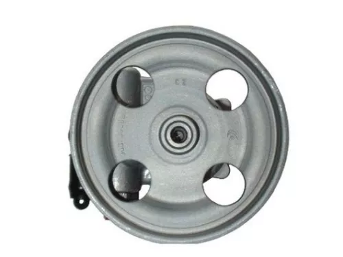 Hydraulic Pump, steering SPIDAN 54181)