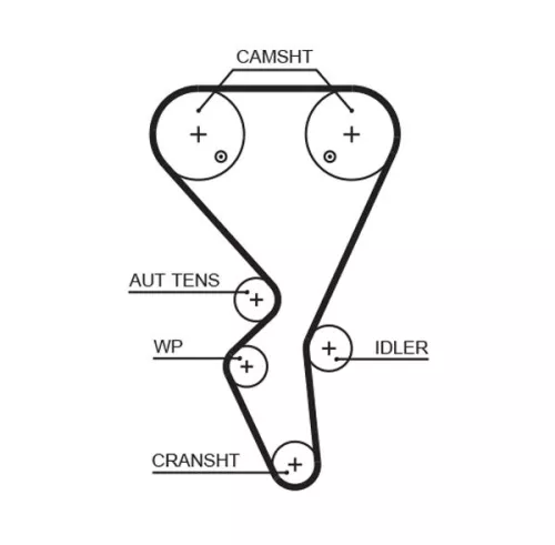 Timing Belt GATES 5581XS)