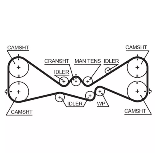 Timing Belt GATES 5612XS)