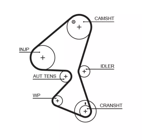 Timing Belt GATES 5598XS)