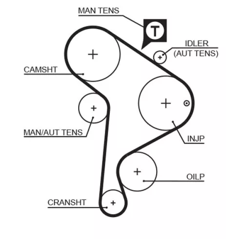 Timing Belt GATES 5223XS)