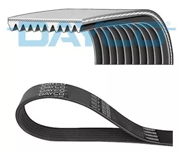 V-Rippen-Gürtel DAYCO 10PK1108HD)