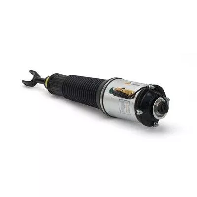 Air Suspension Strut Arnott AS-2776)
