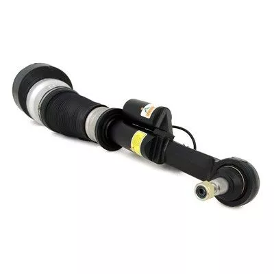 Air Suspension Strut Arnott AS-2548)