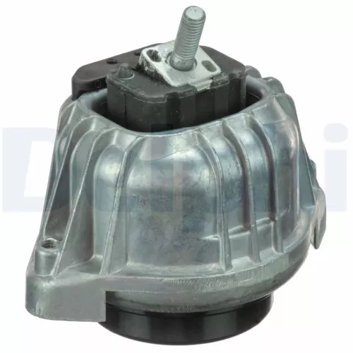 Mounting, engine DELPHI TEM099)