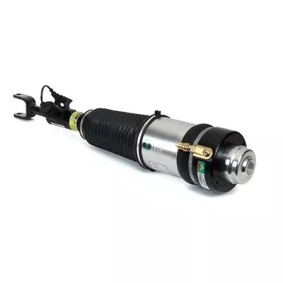 Air Suspension Strut Arnott AS-3369)