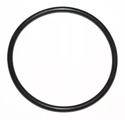 Seal Ring ELRING 455.190)