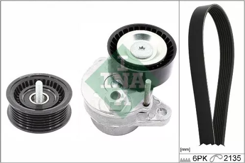 V-ribbed Belt Set Schaeffler INA 529 0494 10)