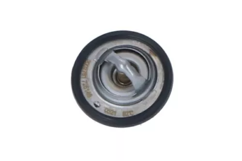 Thermostat, coolant NRF 725146)