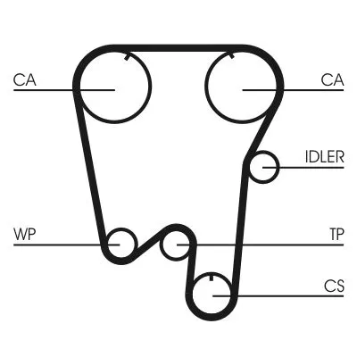 Timing Belt CONTINENTAL CTAM CT737)
