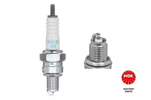 Spark Plug NGK 2983)
