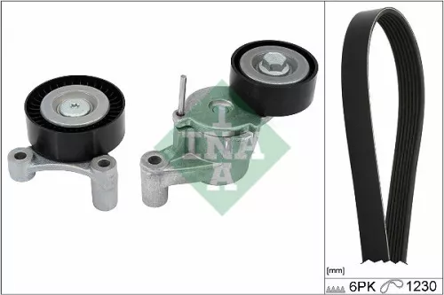 V-ribbed Belt Set Schaeffler INA 529 0548 10)