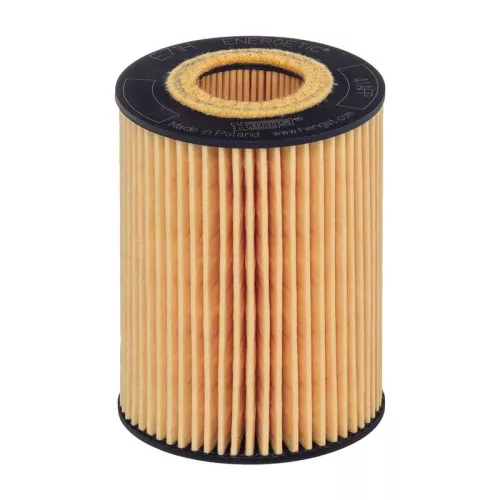 Oil Filter HENGST FILTER E71H D141)