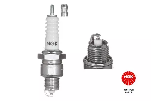 Spark Plug NGK 3823)