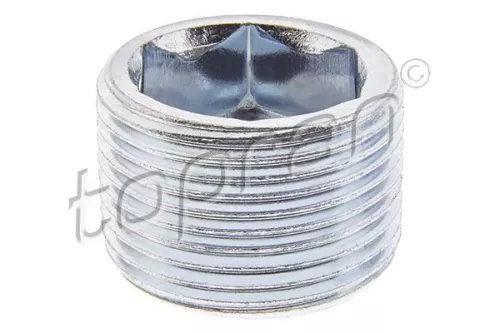 Screw Plug, automatic transmission casing TOPRAN 115 346)