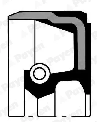 Shaft Seal, crankshaft PAYEN NB928)