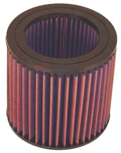 Air Filter K&N FILTERS E-2455)