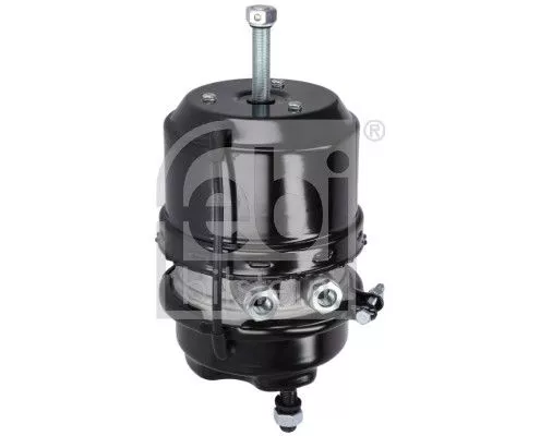 Spring-loaded Cylinder FEBI BILSTEIN 1000258)
