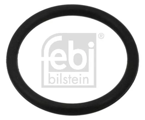 Seal Ring, oil drain plug FEBI BILSTEIN 100998)
