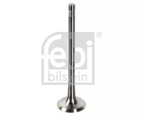Exhaust Valve MAXGEAR 181648)