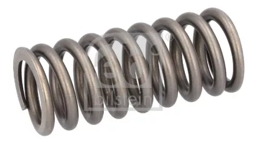 Valve Spring FEBI BILSTEIN 186613)