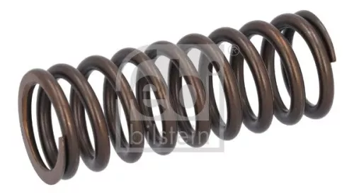 Valve Spring  187746)