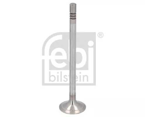 Intake Valve  199048)