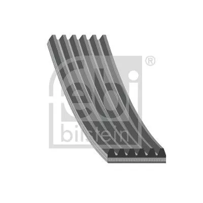 V-ribbed Belt WALKER 28926)