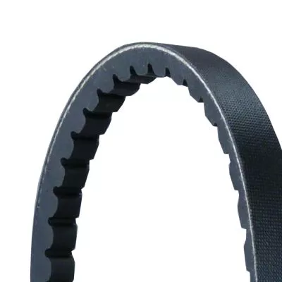 V-Belt CONTINENTAL CTAM AVX13X1550)
