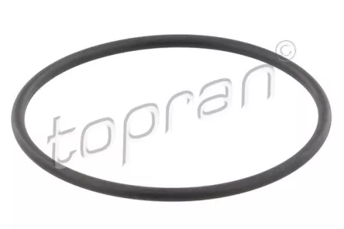 Seal, thermostat TOPRAN 202 327)