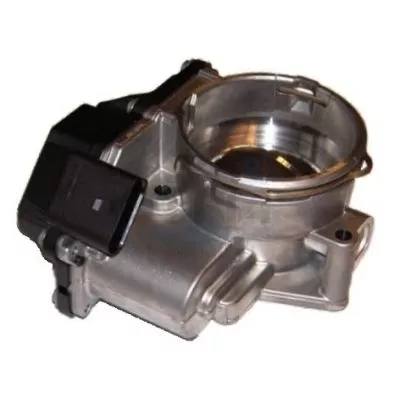 Throttle Body MEAT & DORIA 89055)